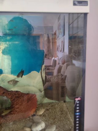 Acuario 120L con accesorios