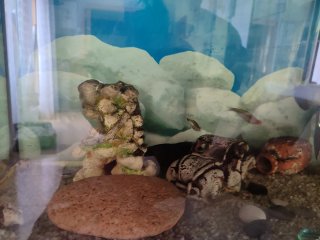 Acuario 120L con accesorios