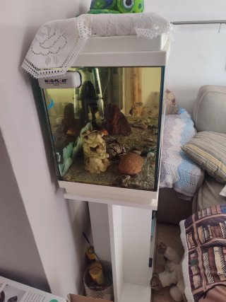 Acuario 120L con accesorios