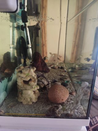 Acuario 120L con accesorios