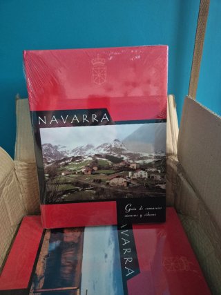 Guía de valles,comarcas y del patrimonio artístico