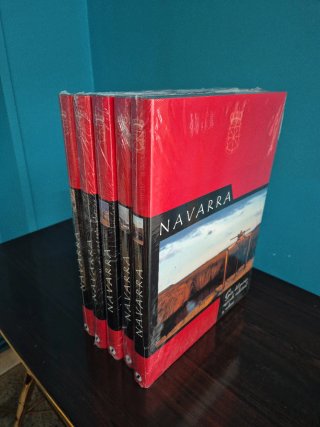 Guía de valles,comarcas y del patrimonio artístico