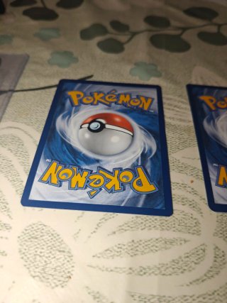 Carte Pokémon promo Eevee e Tangela di Erika Asces