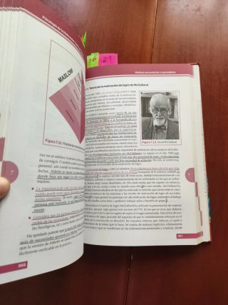 Psicología de la motivación teoría y práctica UNED