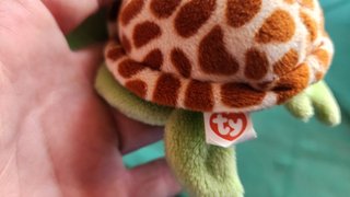 Peluche Tortuga Ojos Brillantes