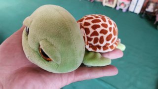 Peluche Tortuga Ojos Brillantes