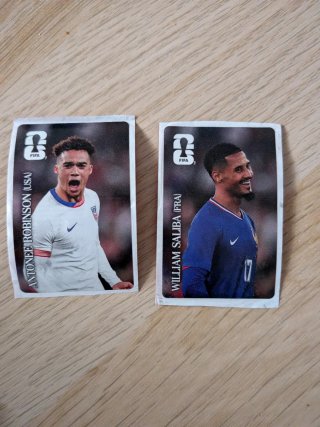 Cromos Mundial Panini