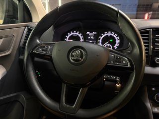 SKODA KAROQ 2.0 TDI AMBITION 4X4 DSG