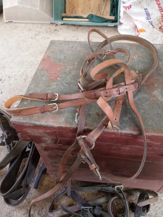 Aparejos de caballo para carro