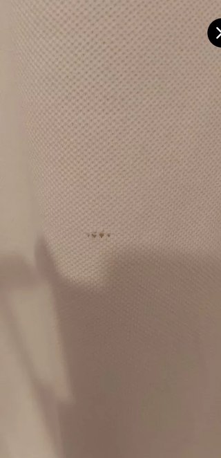 Lote 4 Polos Massimo Dutti Talla M