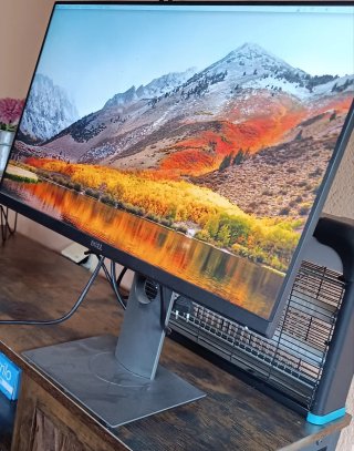 Monitor Dell Negro