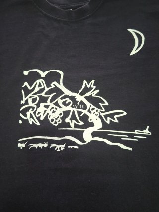 Camiseta Fruit of the Loom