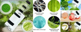 Microscopio Tsophreniq 60x-180x Portátil
