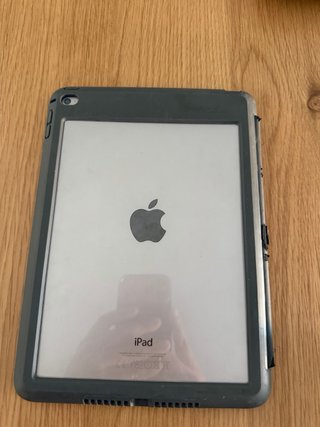 Apple iPad Air 2 Celular
