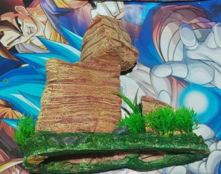 Decoración roca acuario con plantas.