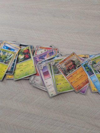Lote cartas Pokémon Japonés