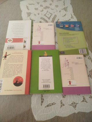 Lote 6 Libros Lectura Secundaria y Bachillerato