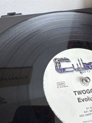 TwoGood - Evolution