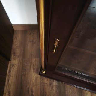 Vitrina de madera y cristal