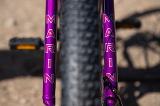 MARIN BEAR VALLEY 24