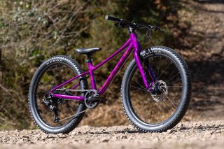 MARIN BEAR VALLEY 24