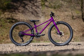 MARIN BEAR VALLEY 24