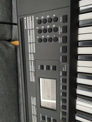 Tastiere elettroniche con microfono e adattatore