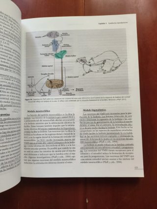 Psicología fisiológica UNED