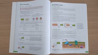 Biología, 2 bachillerato, Revuela Guía del prof...