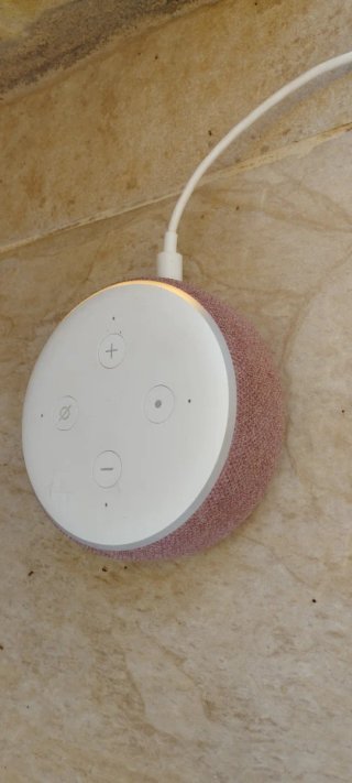 Altavoz Inteligente Amazon Alexa Rosa