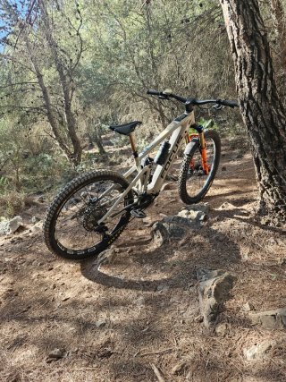 Bicicleta Eléctrica MTB Enduro FOCUS sam 2