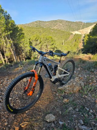 Bicicleta Eléctrica MTB Enduro FOCUS sam 2