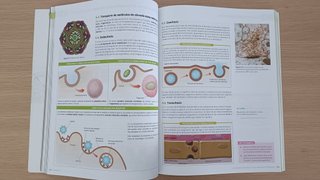 Biología, 2 Bachillerato