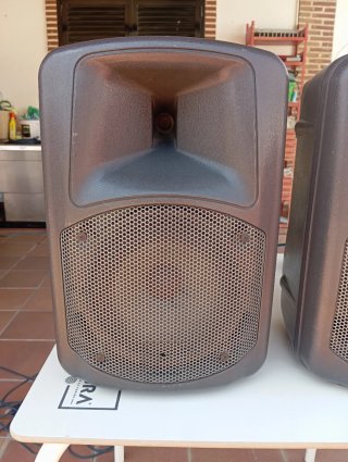 2 Altavoces DAS DS108