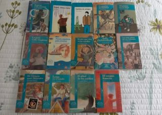 Libros juveniles (a partir de 12 años)