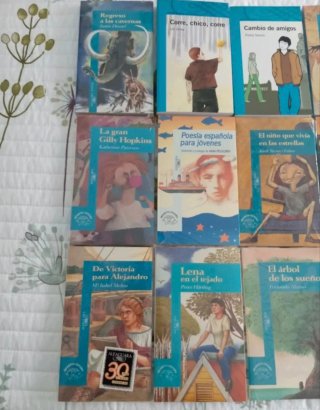 Libros juveniles (a partir de 12 años)