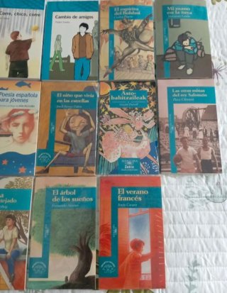 Libros juveniles (a partir de 12 años)