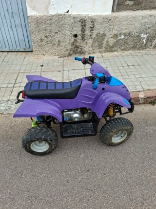 Quad 100cc Automático Morado