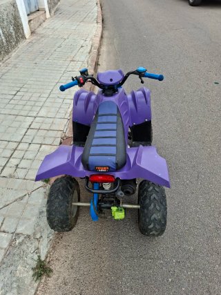 Quad 100cc Automático Morado