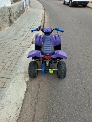 Quad 100cc Automático Morado