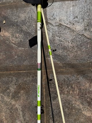 Lote de cañas y carretes de pesca