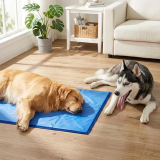 Cama Refrescante Perro Gato 50x60