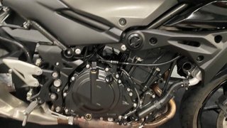 Kawasaki Z 500 2024