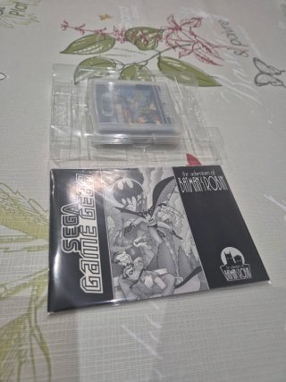 THE ADVENTURES OF BATMAN & ROBIN Sega Game Gear