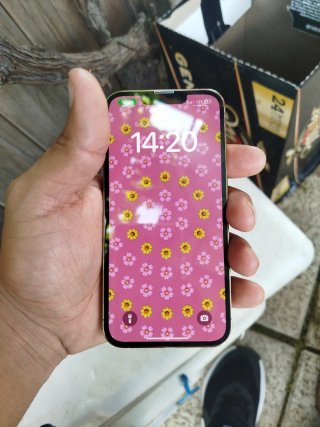 iPhone 13 Pro Oro/Argento 256gb
