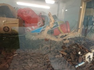 Terrario para reptiles y anfibios