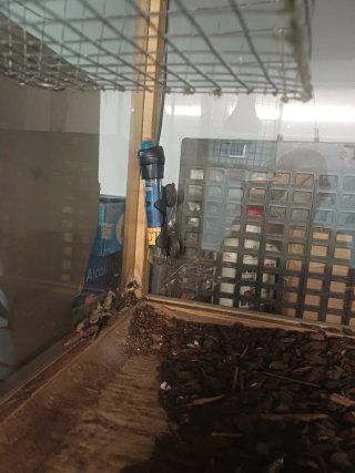 Terrario para reptiles y anfibios