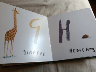 The Book of Animals (Here We Are) - Oliver Jeffers