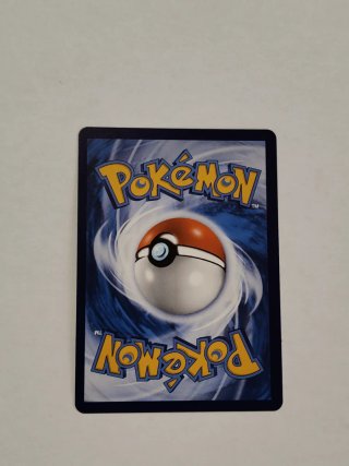 Spineferree Pokemon