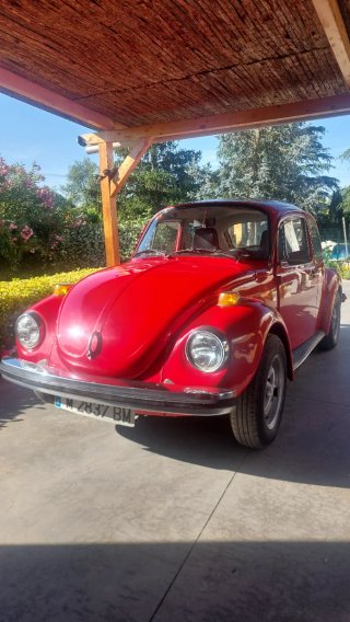 Volkswagen Beetle 1994